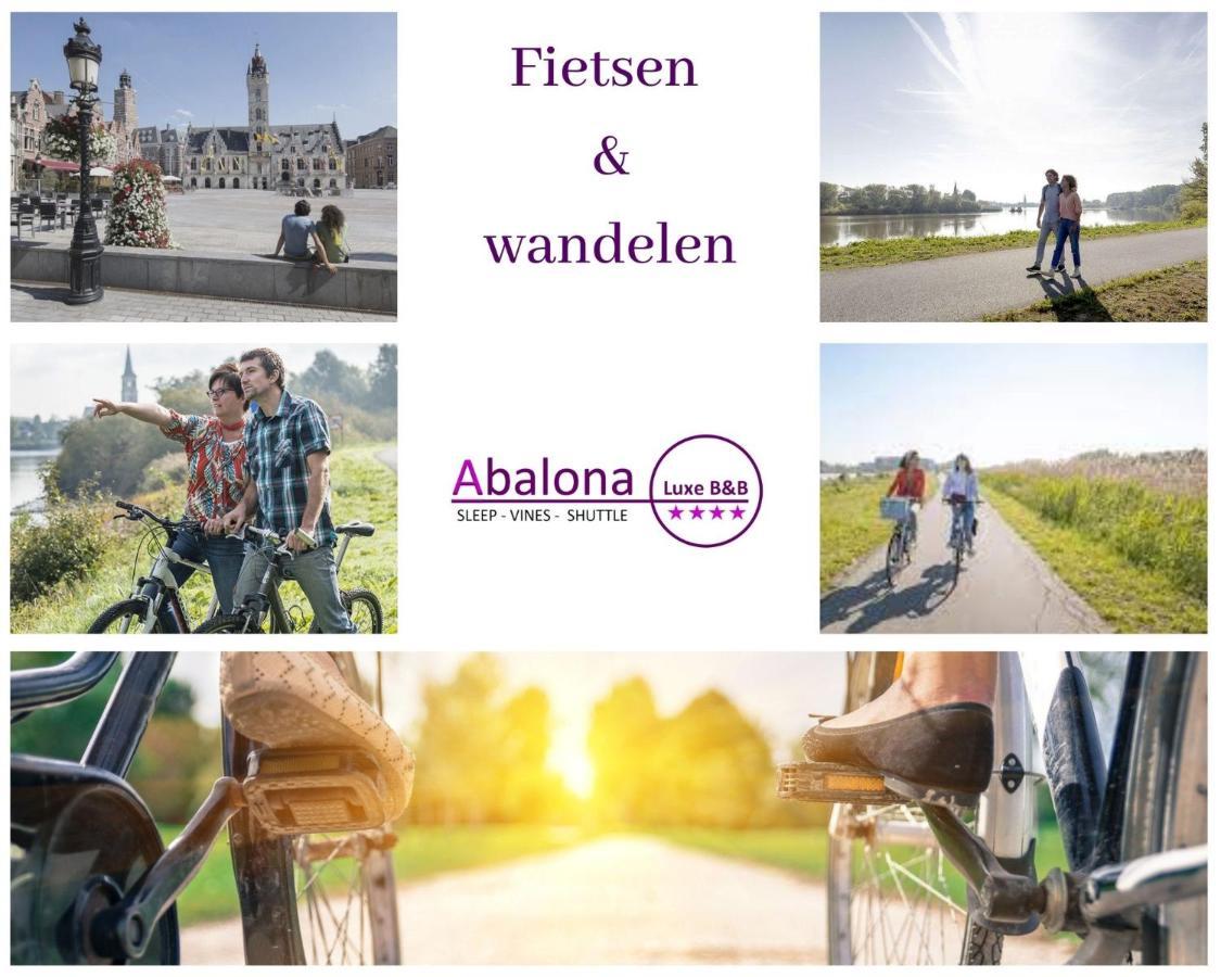 Abalona Hotel & Apartments Dendermonde Eksteriør billede